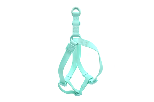 Harness Clearwater