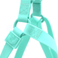 Harness Clearwater