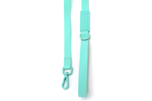 Leash Clearwater